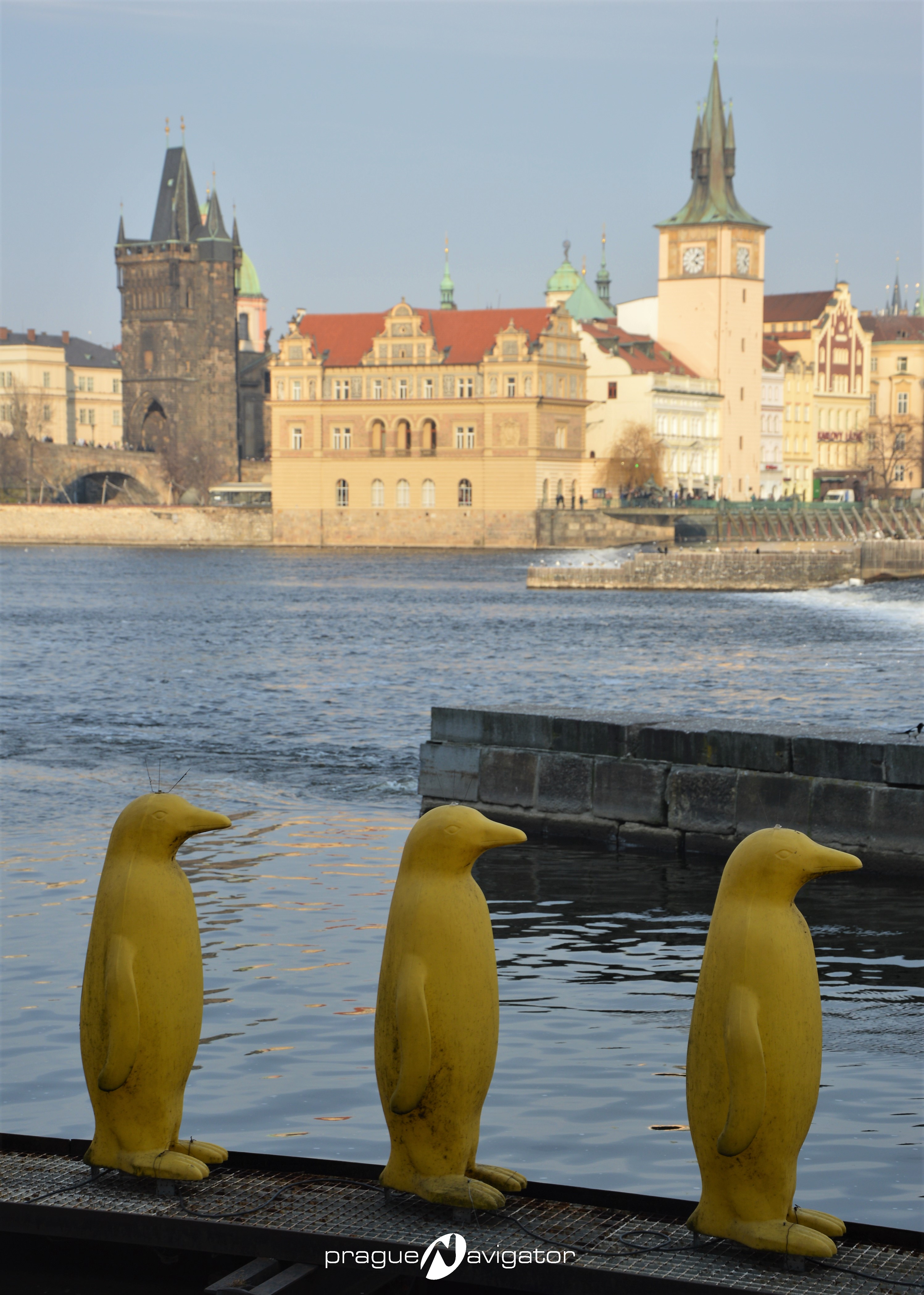 Yellow penguins in Prague, Kampa island
