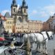 Horses on the Old Town  Square, Prague
