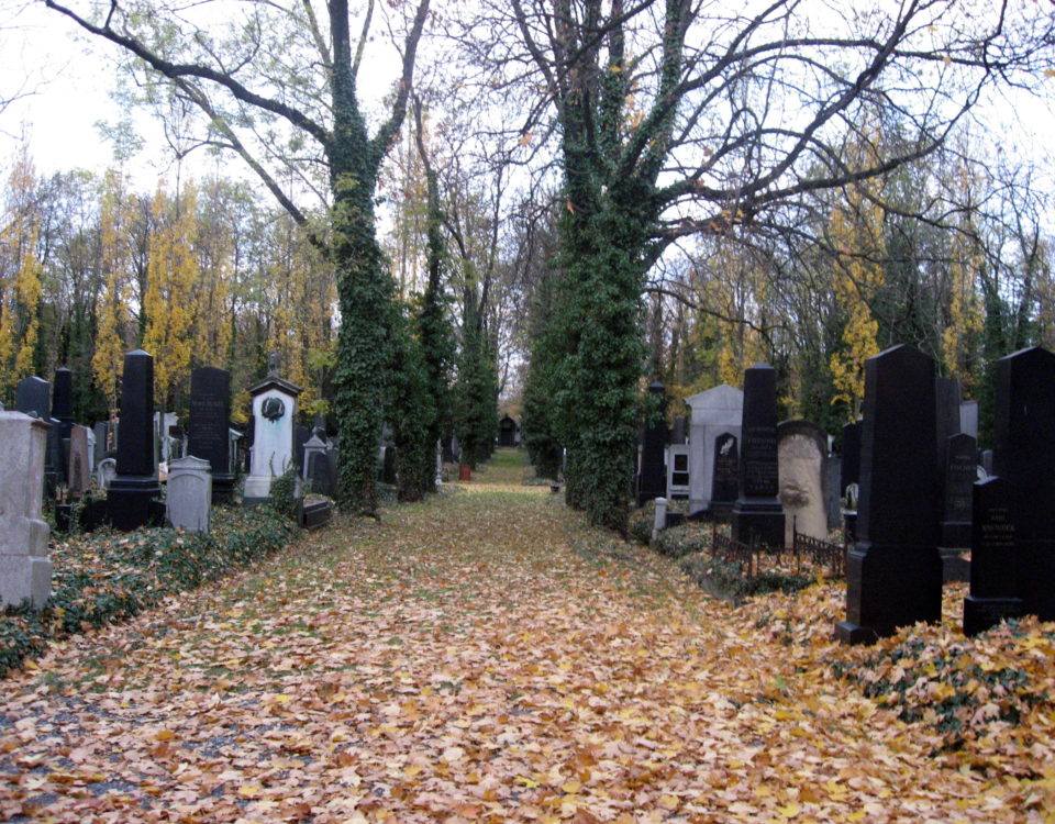 New Jewish Cemetery (Nový židovský hřbitov)